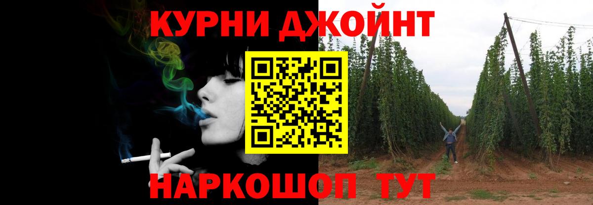 Шишки марихуана планчик  Конопля семена  Вход с VPN  Бошки Шишки THC 21%  Шишки марихуана сатива  Коммунар 